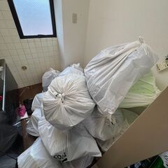 カーテン・レース【本日18時以降引取限定】の画像
