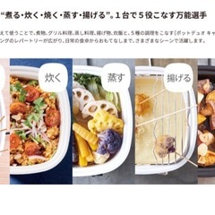 卓上電気小鍋　ポットデュオ　キャレの画像