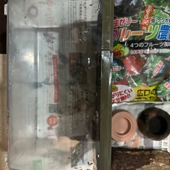 昆虫飼育セットの画像