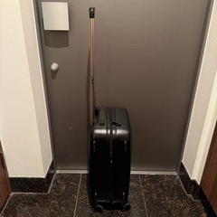 Aww キャリーケース(機内持込み対応 34L)の画像