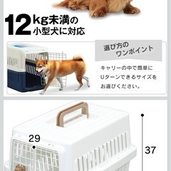 ペットキャリーの画像