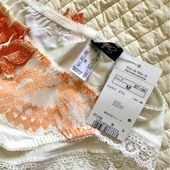 処分価格 新品未使用 ワコール サルートBTJ432(D75) PTJ732(M) IV上下セットの画像