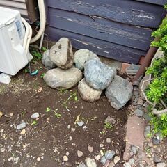 石（庭石、形大きさいろいろ）の画像