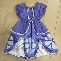ディズニー風ドレスの画像