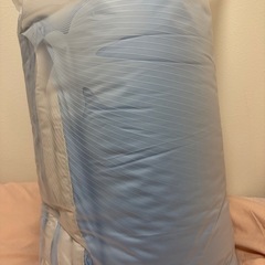 【新品未使用未開封】2枚合わせ掛け布団 ダブルサイズの画像
