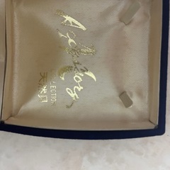 ペンダント・イヤリングの画像