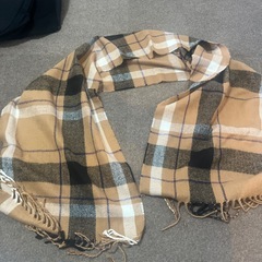 マフラーの画像