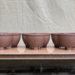 プランター①の画像