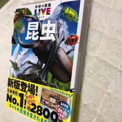 昆虫図鑑の画像