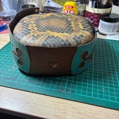 三線　ティーガの画像