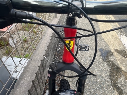 コルナゴ×フェラーリ　マウンテンバイク