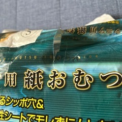 ペット(犬)シニア用紙おむつの画像