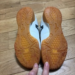 【新品・未使用】『ミズノ』室内シューズ20㌢の画像