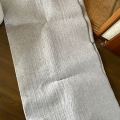早い者勝ち‼️ニトリ　ホットカーペット　3畳の画像