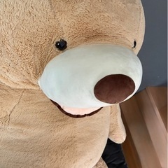 ビックベアーの画像