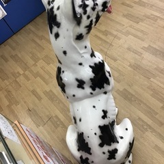 【ドリーム川西店ご来店限定】　⭐︎ジモティー見たよ♪割引⭐︎ドーベルマン　陶器置物／クリーニング済み【99560000063619120426】の画像