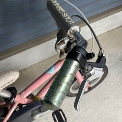 子供用自転車 12インチ ルイガノ LGS-J12 補助輪付き 泥除け付き 練習用 の画像