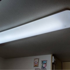 照明・電気セットの画像