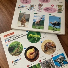 昆虫図鑑、動物図鑑2冊セットの画像