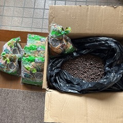 ダイソー　　ハイドロボール
