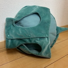 わんちゃんの亀の甲羅の画像
