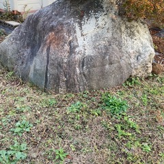 庭石の画像