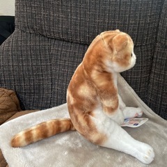 猫　ぬいぐるみの画像