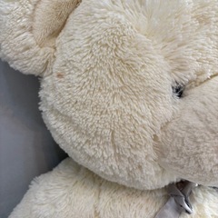 特大テディベアの画像