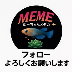 【メダカ】マーメイドパール　トリオ　(No.3)の画像