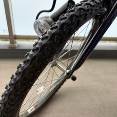 ブリヂストン　エクスプレスジュニア22（キッズサイクル、子ども用自転車）の画像