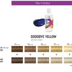 紫シャンプー シュワルツコフ グッバイイエローの画像