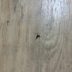 ニトリのコタツ（大きい ）&コタツ布団の画像