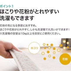 ニトリ　ラグマット、クッション他の画像