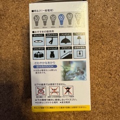 LED電球の画像