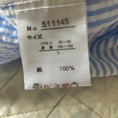 HUDSON honey L 水色ストライプ半袖シャツの画像