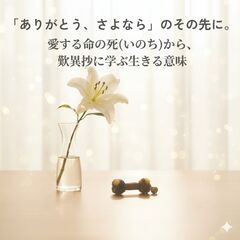 【世田谷区】「ありがとう、さよなら」のその先に。 愛する命…