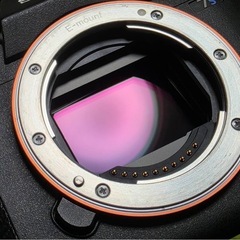 SONY a7sⅢ ミラーレスカメラ　ガンマイク付き
の画像
