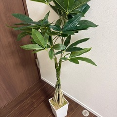 【美品】観葉植物  フェイクグリーン パキラの画像