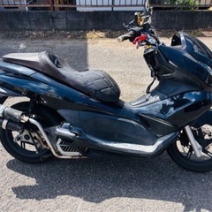 PCX  低走行の画像