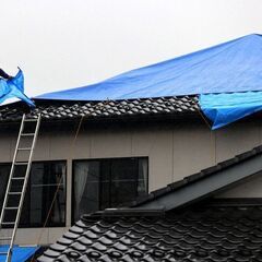 🌅屋根雨漏り・外壁塗装🌅職人だけの自社施工！見積り無料！梅…