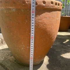 大きな植木鉢の画像