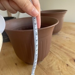 植木鉢　プランタ観葉植物　多肉植物の画像