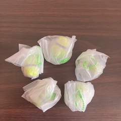 白菜サンリオの画像