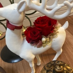 クリスマス飾りの画像
