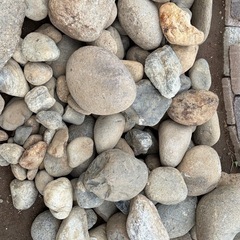 花壇のアプローチの石類の画像