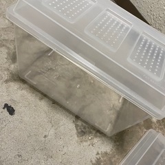 虫かご　飼育ケース　6点セットの画像