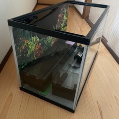 水槽の画像