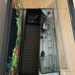 水槽の画像