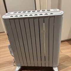 数回使用　色褪せほぼ無しの画像