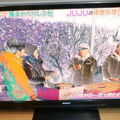 ジャンク品 SONY ブラビア テレビ 46型 2008年製 KDL-46F1の画像
